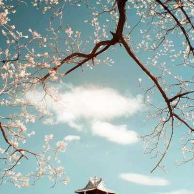 封神之战果盘版下载